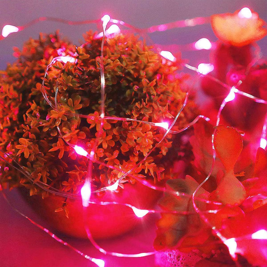 Ariceleo Red and Green Christmas 16ft LED Fairy Lights, Basic Bundle