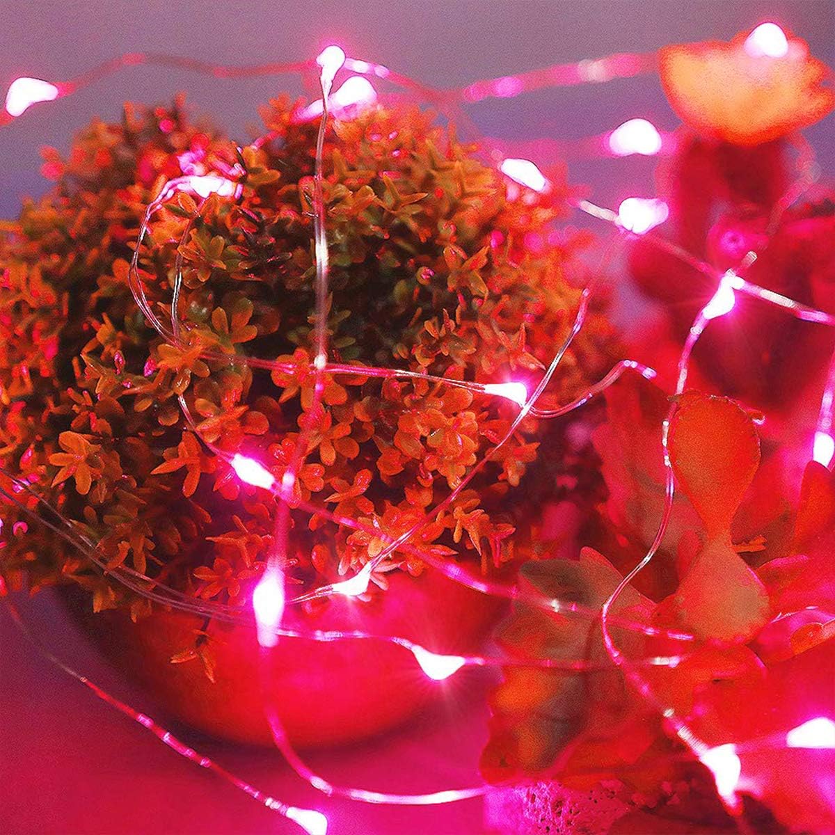 Ariceleo Red and Green Christmas 16ft LED Fairy Lights, Basic Bundle