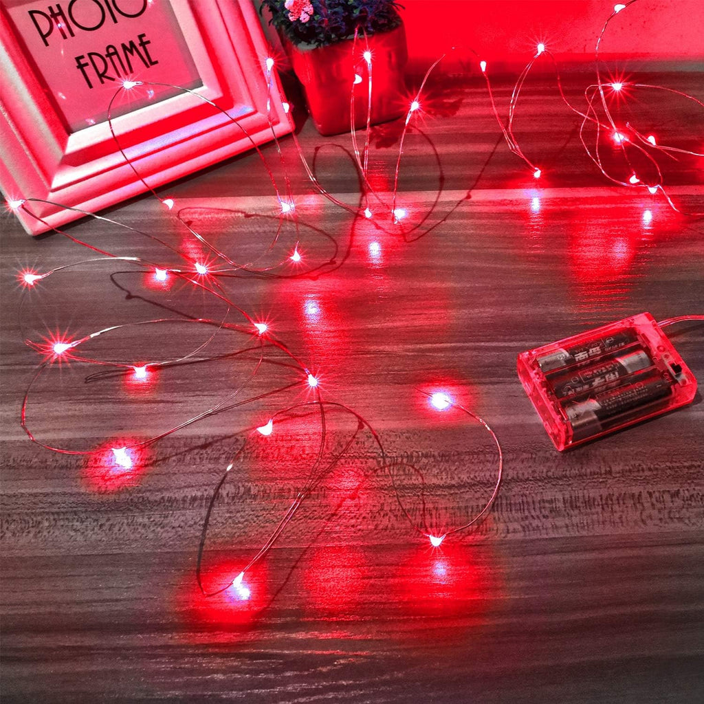 Ariceleo Red and Green Christmas 16ft LED Fairy Lights, Basic Bundle