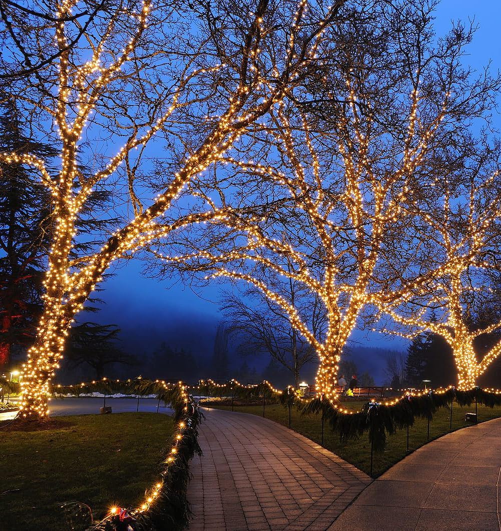 Festive Living 100 Warm White Wide Angle LED Mini Lights On Brown Wire | 34 Ft Commercial Grade Christmas String Lights, Full Wave No Flicker, Indoor & Outdoor UL Listed, Connect Up to 21 Sets