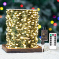 ZELUXDOT 100FT 300LEDs Fairy Lights Plug in,Green Wire,Warm White | Waterproof Led String Lights,8 Modes Remote Twinkle Light for Outdoor Indoor Christmas Wedding Birthday Garden Decorations